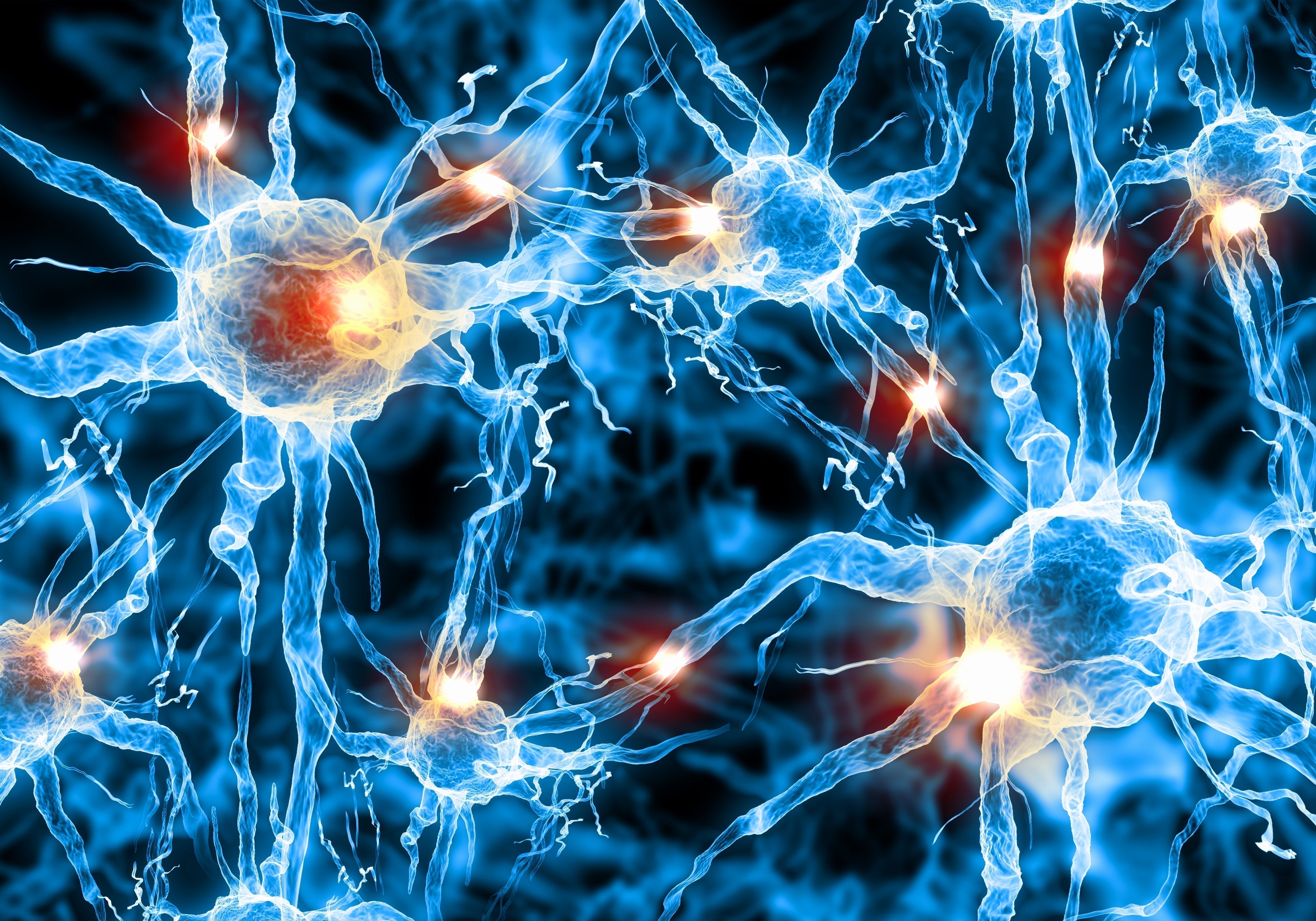 Calm, Focused, and Energized: How Functional Juices Support Your Nervous System