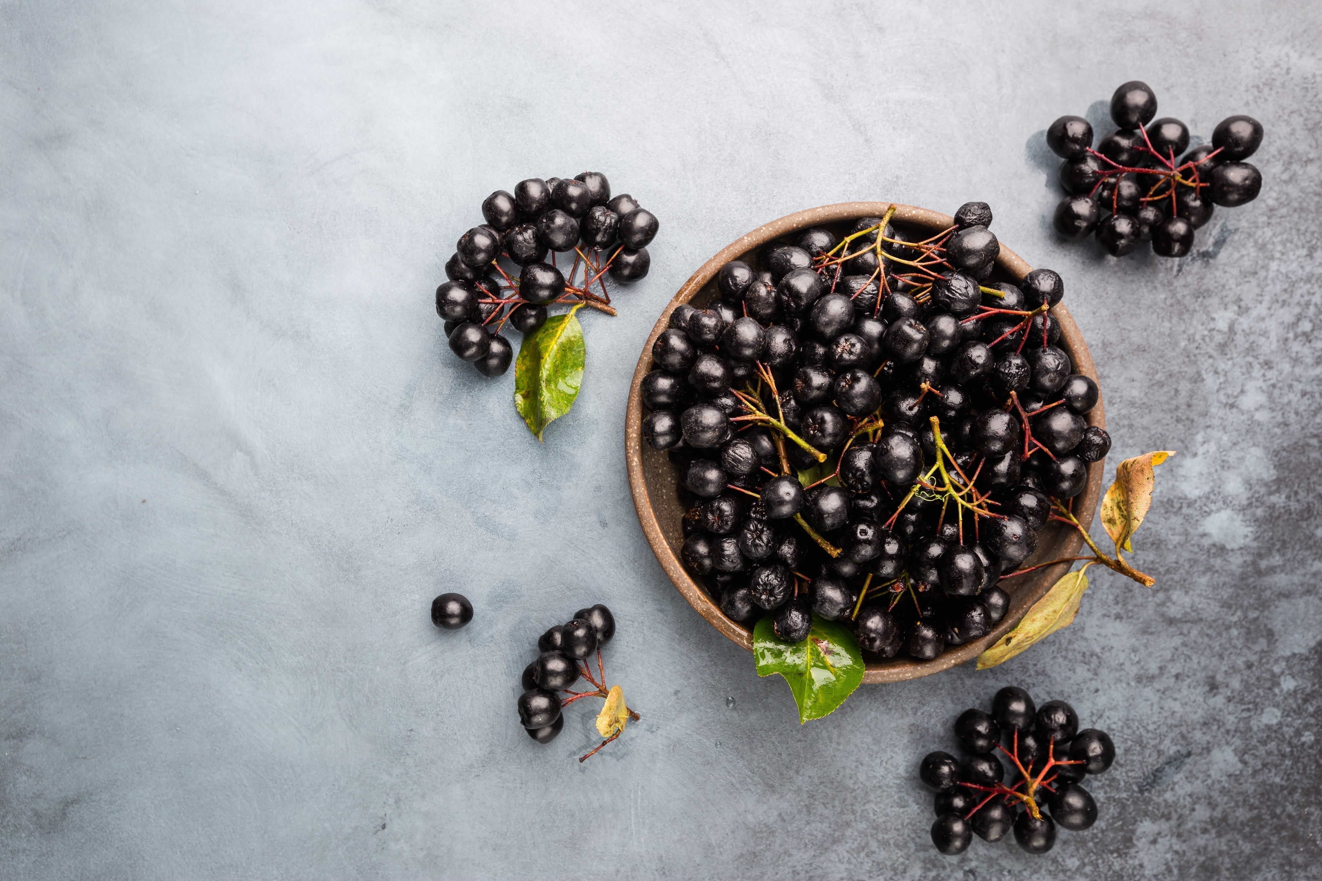 Aronia (Aronia melanocarpa): Deep Antioxidant Defense for Vascular, Immune, and Metabolic Health