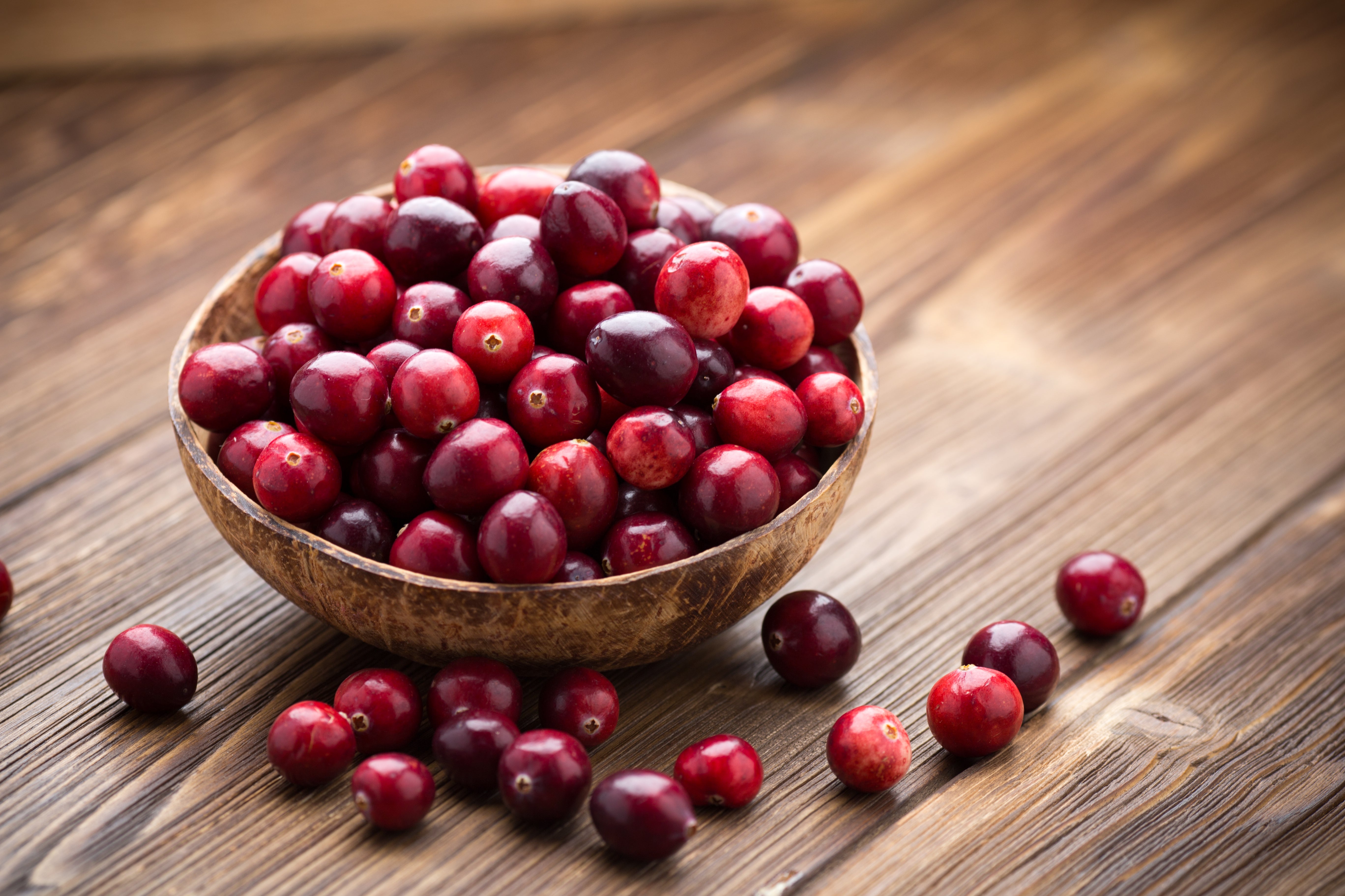 Cranberry - Botanical Defense for the Urinary Tract, Heart, and Microbiome