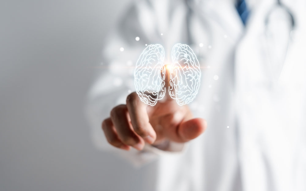 Cilvēka asinsrites un smadzeņu ilustrācija, kas simbolizē insulta profilaksi ar dabisku uzturu