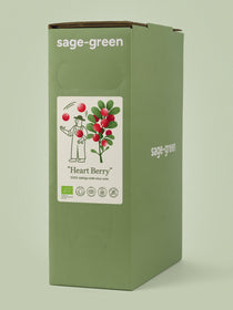 Heart Berry – 100 % bioloģiska dzērveņu sula 3 L