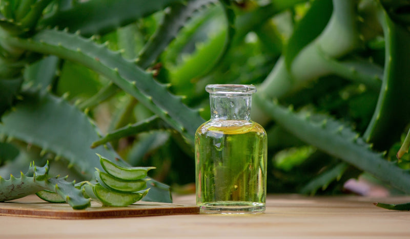 Hello Aloe - bioloģiskā alvejas sula 1 l